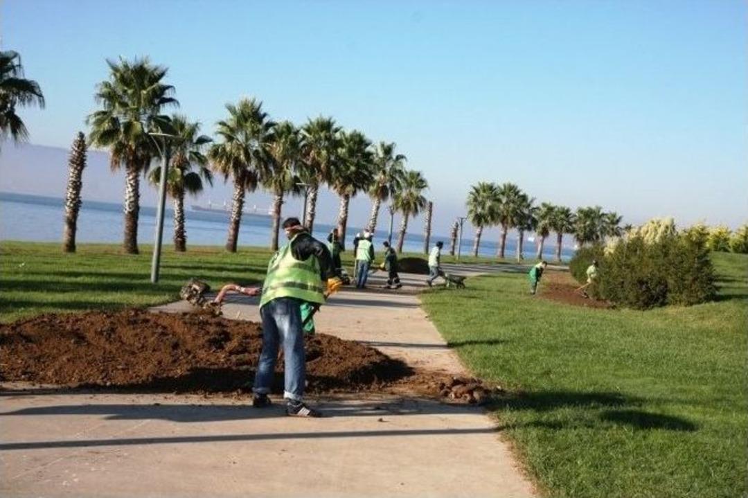 Kocaeli &rsquo;ye 1,5 Milyon Lale Dikilecek