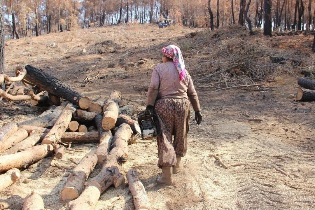 (&ouml;zel Haber) Yanan Ormanlar Onların Ekmek Kapısı