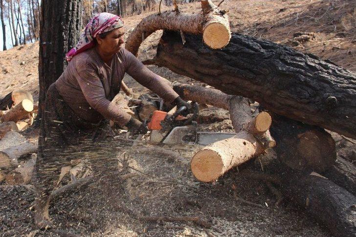 (özel Haber) Yanan Ormanlar Onların Ekmek Kapısı G2