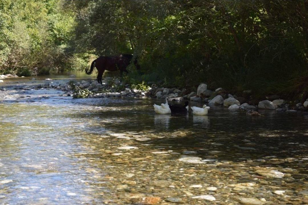 Kayaarası Kanyonuna Ziyaret&ccedil;i Akını