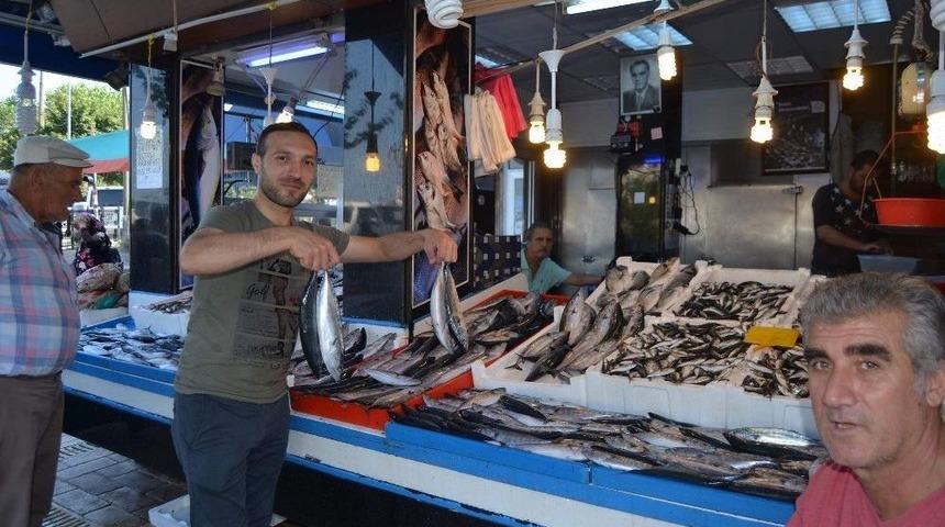 Balık Sezonu Kısır Ge&ccedil;iyor