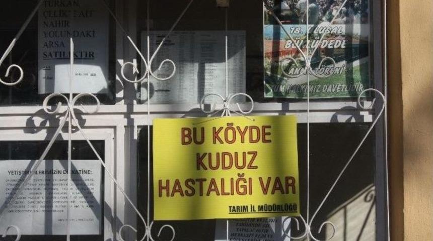 Erzincan&rsquo;da Kuduz Vakasının Tespit Edildiği K&ouml;y Karantinaya Alındı