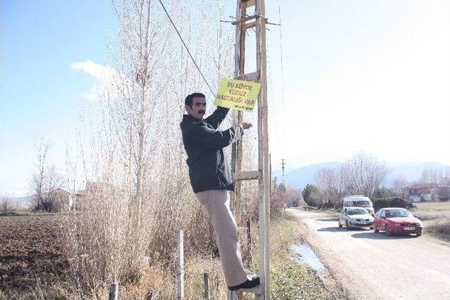Erzincan’da Kuduz Vakasının Tespit Edildiği Köy Karantinaya Alındı 1