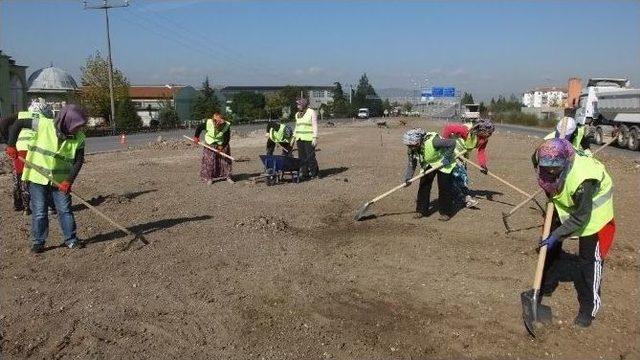 Burhaniye’yi Kadınlar Güzelleştiriyor