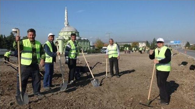 Burhaniye’yi Kadınlar Güzelleştiriyor