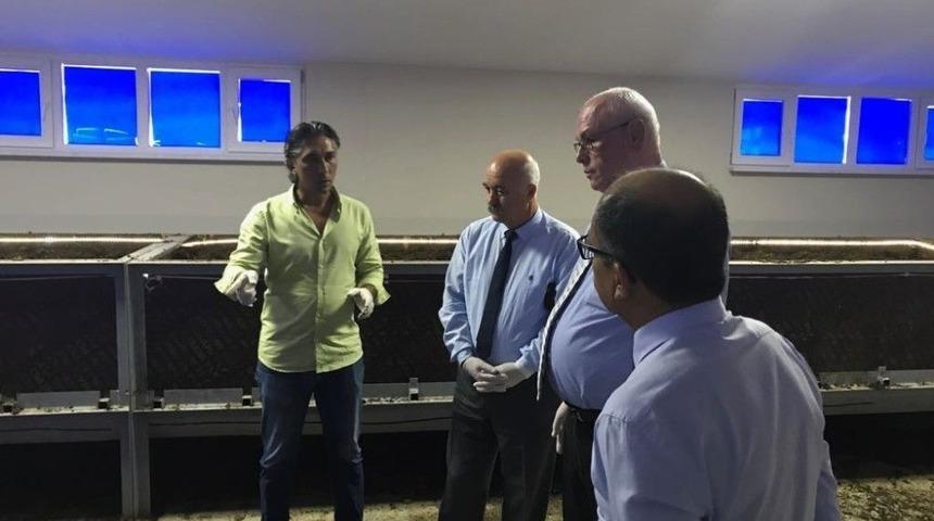 Başkan Kurt, Solucan Gübresi Üretim Tesisini İnceledi