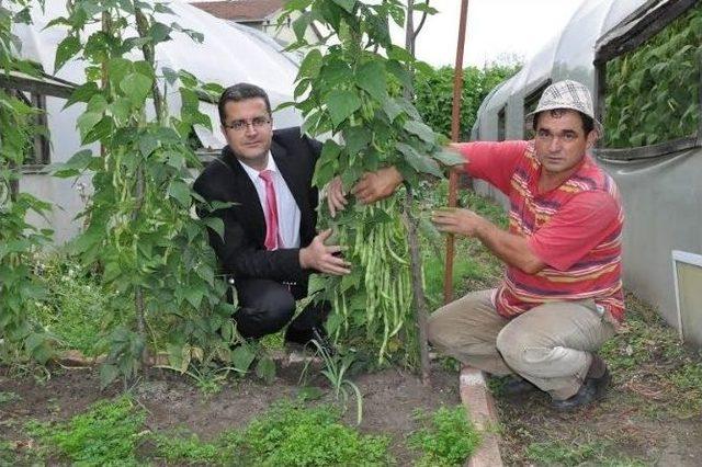 Açlık Ve Yoksulluğun İlacı ‘aile Çiftçiliği’