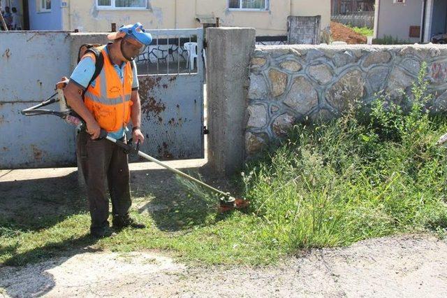 Akçakoca Belediyesi Ekipleri Uzayan Otları Temizliyor