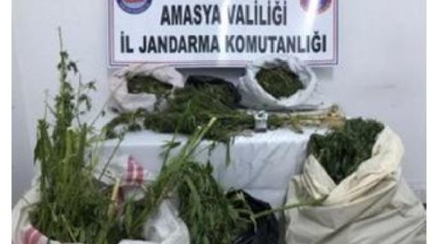 &Uuml;z&uuml;m Bağında Uyuşturucu Operasyonu