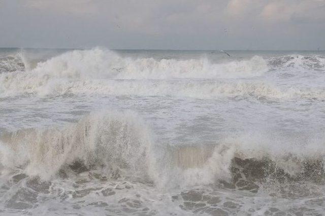 Ak&ccedil;akoca&rsquo;fırtına 2