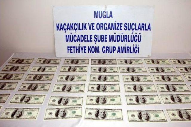 Fethiye de Sahte Dolar Operasyonu 2