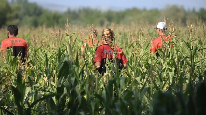 74 Yaşındaki Kayıp Alzheimer Hastası Yaşlı Adamın Cesedi &Ccedil;obanlar Tarafından Bulundu
