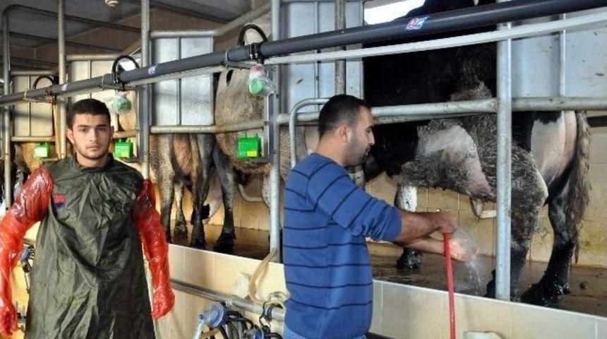 Gen&ccedil; Girişimci &lsquo;alo S&uuml;t&rsquo; Hizmete Sundu