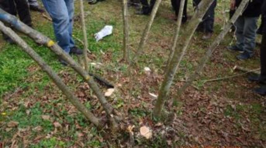 Yılmaz: &ldquo;fındık Ağır Hasta&rdquo;