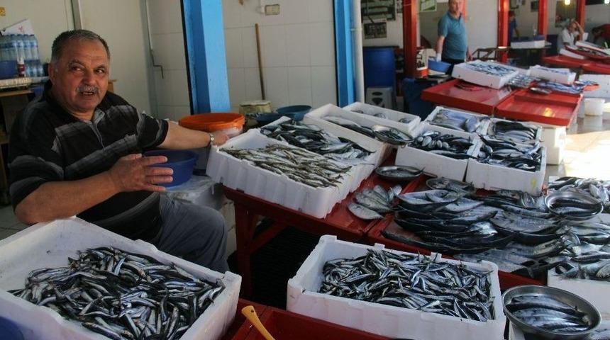 Giresun&rsquo;da Yerli Hamsi &Ccedil;ıktı; Fiyatı İse 15 Tl