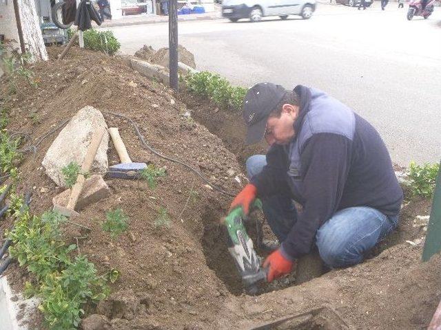 Bilecik’te Şehir İçi Trafik Lambalarının Bakımı Ve Onarımı Yapılıyor