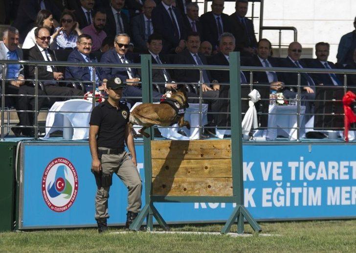 Gümrük Ve Ticaret Bakanlığı Köpek Eğitim Merkezi Açıldı G5