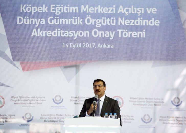 Gümrük Ve Ticaret Bakanlığı Köpek Eğitim Merkezi Açıldı G2