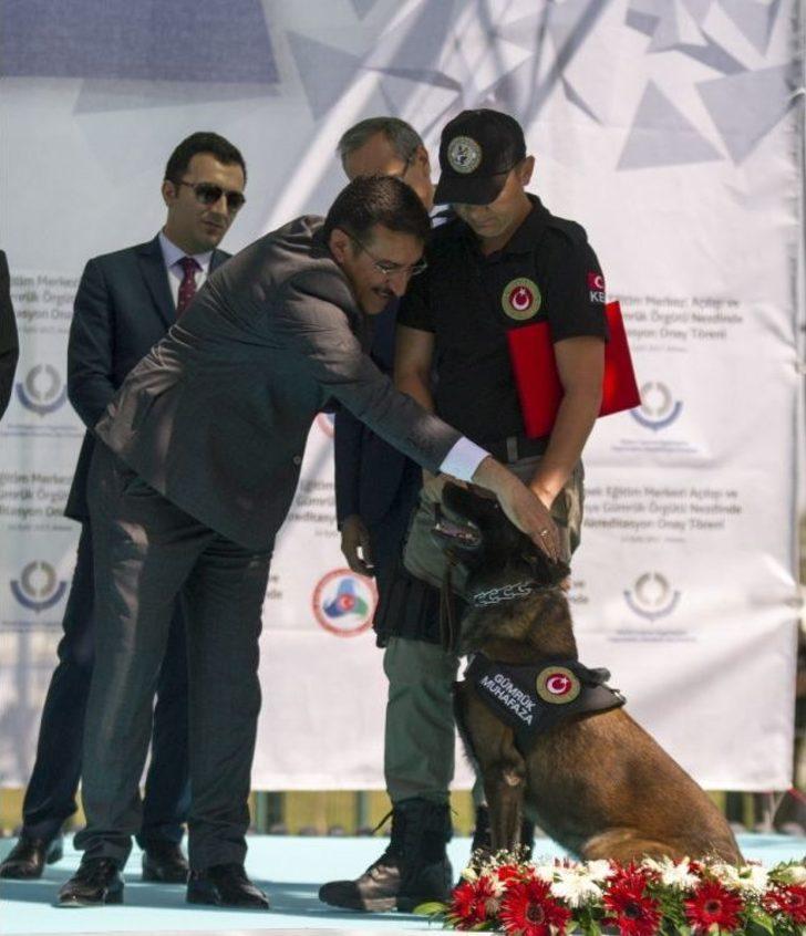 Gümrük Ve Ticaret Bakanlığı Köpek Eğitim Merkezi Açıldı G4
