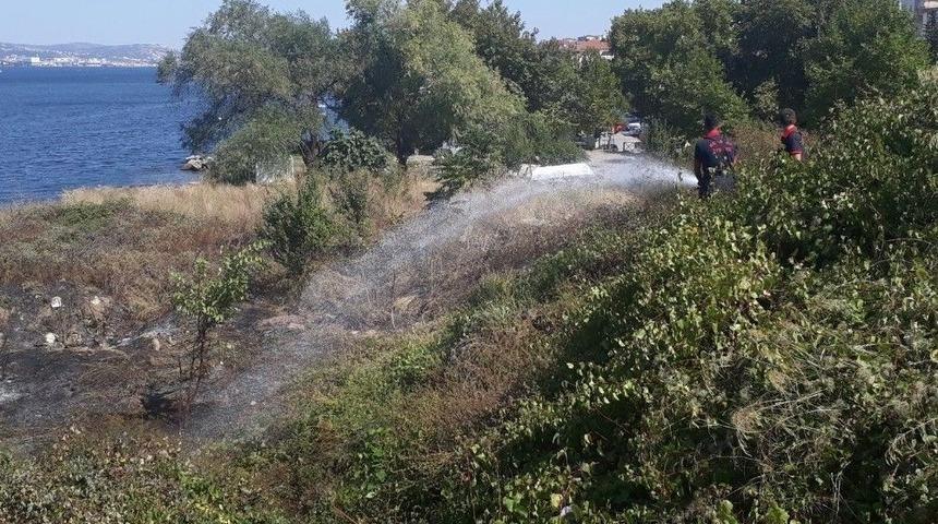 2 D&ouml;n&uuml;ml&uuml;k Alan Yandı