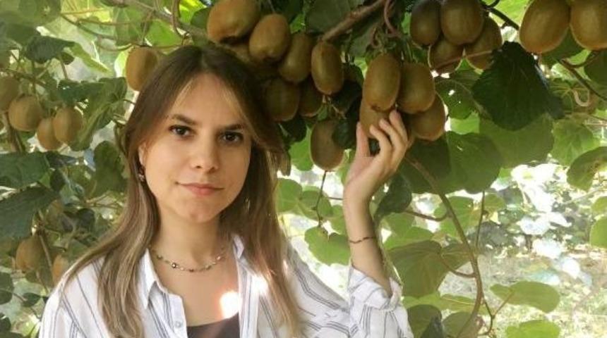 Silifke'de Yılın Ilk Kivi Hasadı Yapıldı