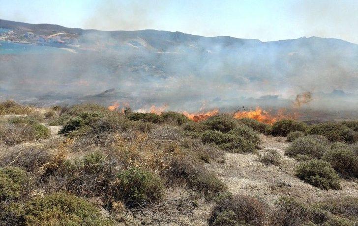 Avşa’da Arazi Yangını G1