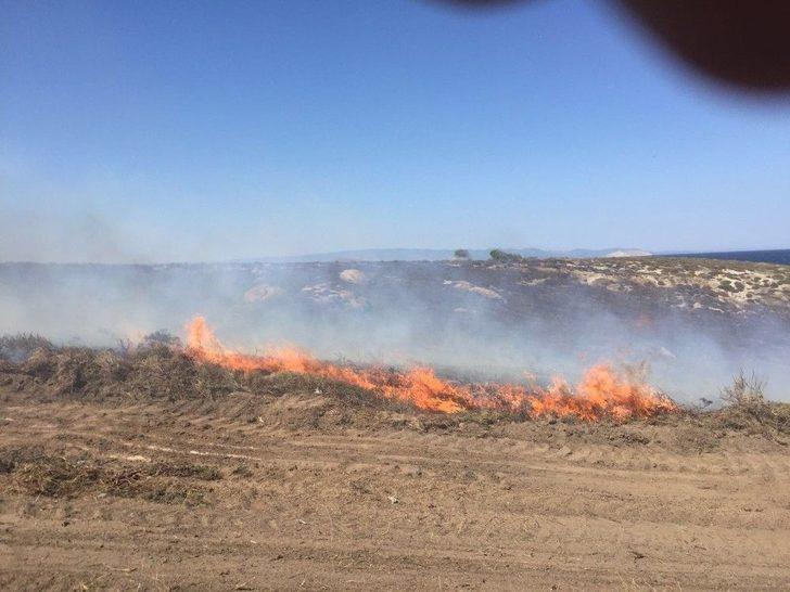 Avşa’da Arazi Yangını G2