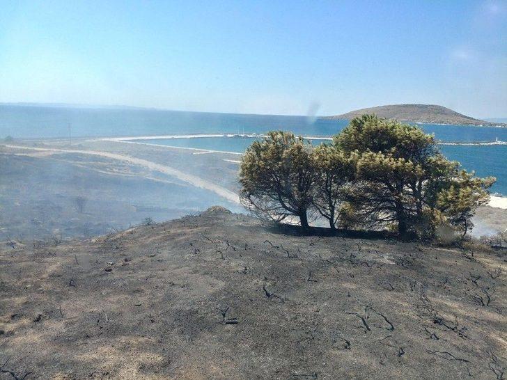 Avşa’da Arazi Yangını G3