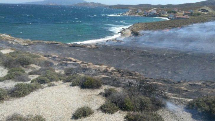 Avşa’da Arazi Yangını G5