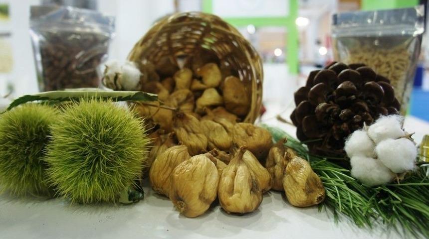 Aydın-istanbul-rize Ticaret Borsalarından Y&ouml;rex&rsquo;te Ortak Tanıtım