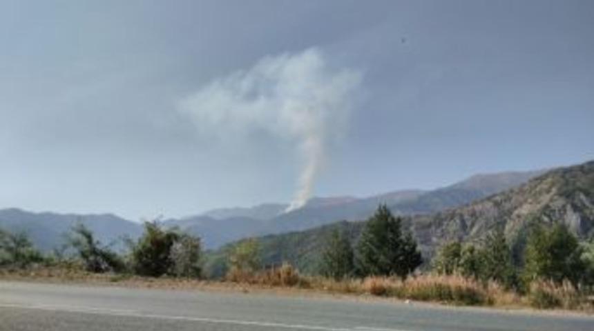 G&uuml;m&uuml;şhane&rsquo;de Orman Yangını