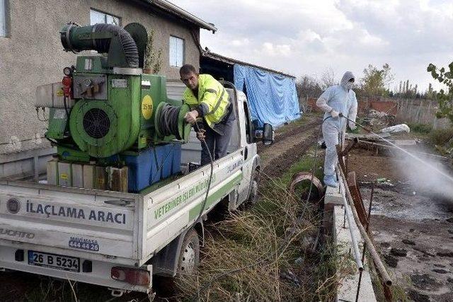 Kurban Kesim Yerleri İlaçlandı