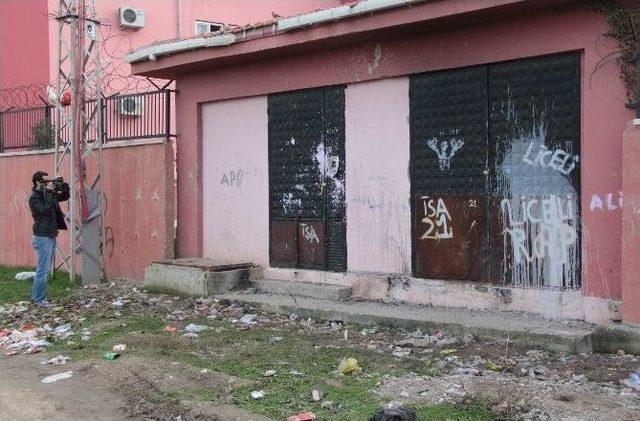 Bonzai Bu Sefer Trafoda &Ouml;ld&uuml;rd&uuml; 1