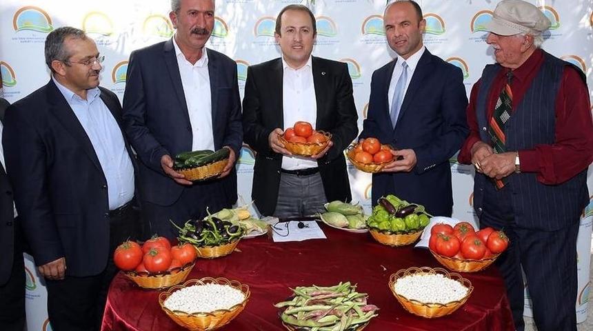 Aslandede K&ouml;y&uuml;&rsquo;nde Hasat Zamanı