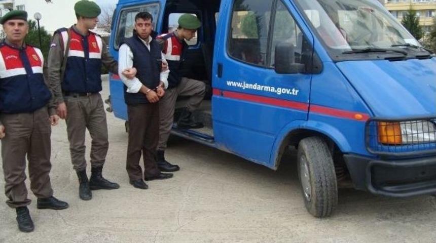 (&ouml;zel Haber) Domuz Saldırısından Tecav&uuml;z Ve Gasp &Ccedil;ıktı