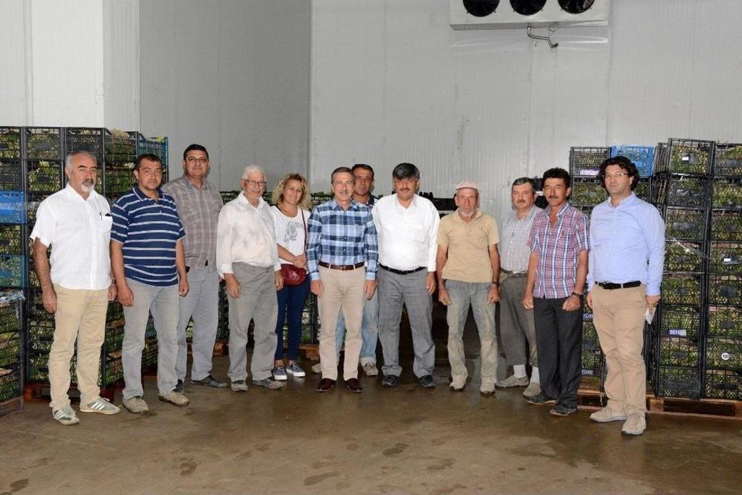 Başkan Ata&ccedil; Soğuk Hava Deposunu İnceledi