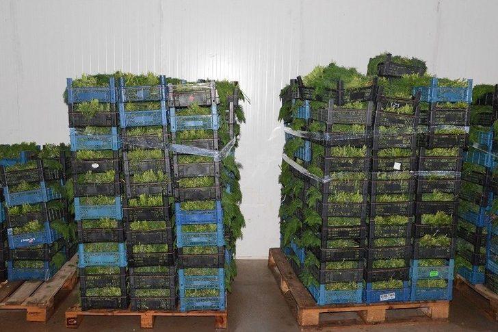 Başkan Ataç Soğuk Hava Deposunu İnceledi G1