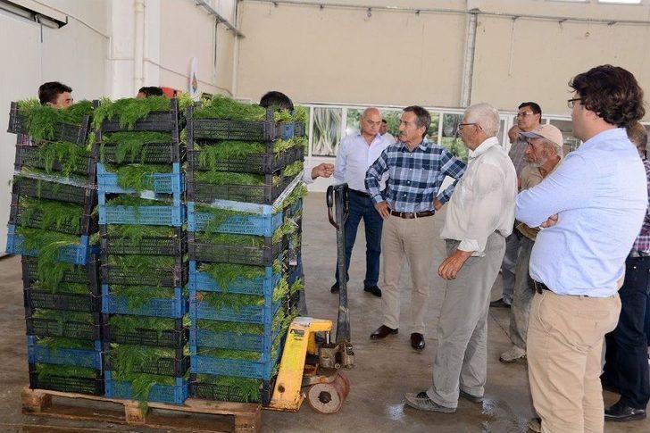 Başkan Ataç Soğuk Hava Deposunu İnceledi G4