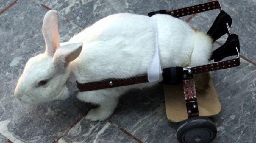 Fel&ccedil;li "pamuk" Artık Protezle Y&uuml;r&uuml;yecek