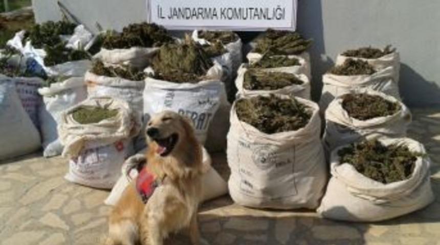 Kocak&ouml;y&rsquo;de 255,3 Kilogram Uyuşturucu Ele Ge&ccedil;irildi