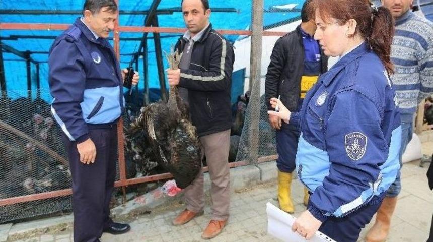 İbb Zabıta Ekipleri Yılbaşı Denetiminde