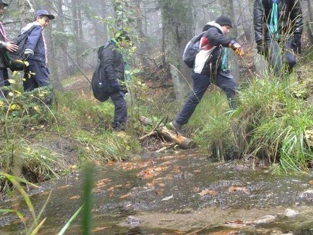 Yavru Kurtlar Uludağ’ın Güzelliklerini Keşfetti