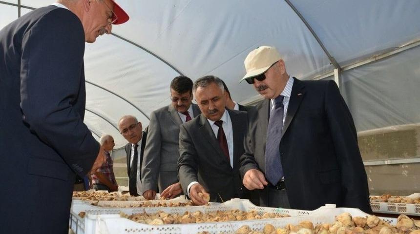 Vali K&ouml;şger: &ldquo;aydın&rsquo;ı &Ccedil;ok Daha İyi Bir Noktaya Getirmekte Kararlıyız&rdquo;