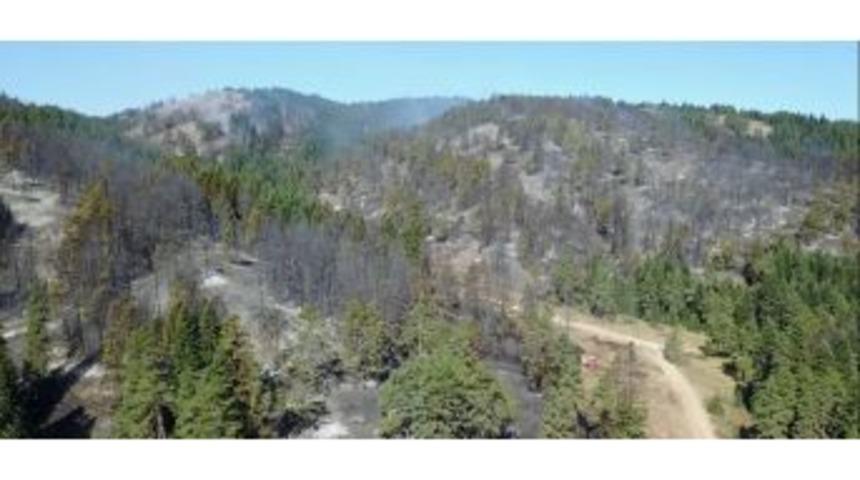 Boz&uuml;y&uuml;k&rsquo;te Yangının Tahribatı Havadan G&ouml;r&uuml;nt&uuml;lendi