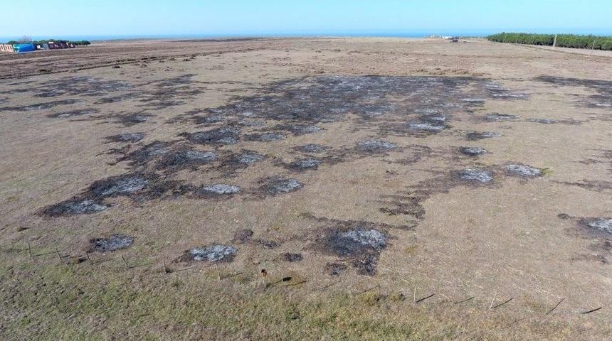 Sinop’ta Anız Yangını