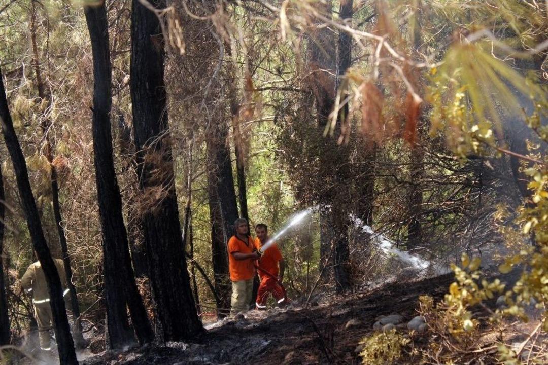 Manavgat&rsquo;taki Yangın Kısa S&uuml;rede Kontrol Altına Alındı