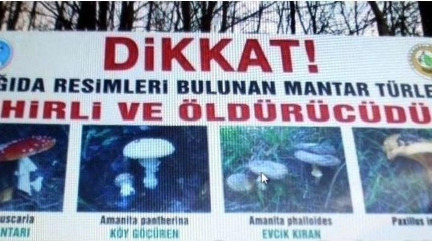Ormanlara &lsquo;zehirli Mantar&rsquo; Uyarı Tabelası