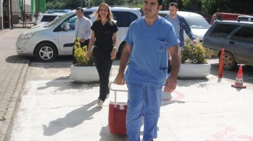 Kazada &Ouml;len Gencin Organları 3 Kişiye Umut Oldu