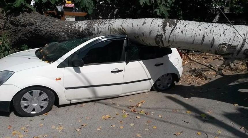 Ağa&ccedil; Otomobilin &Uuml;zerine Devrildi