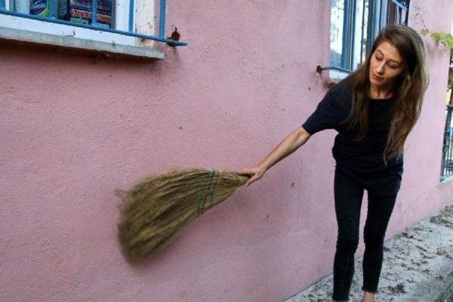 Düzceliler'i Canından Bezdiren Kelebek